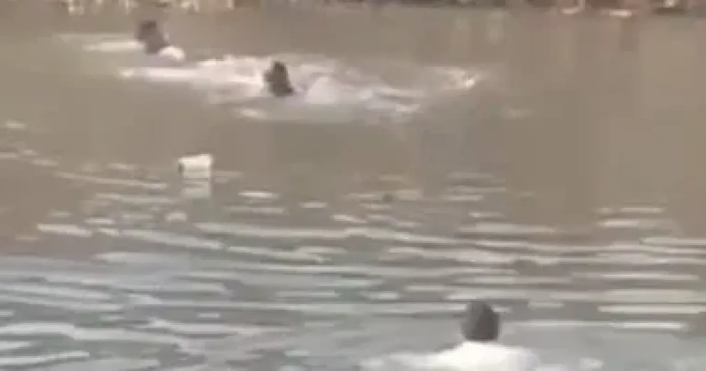 حادث غرق 