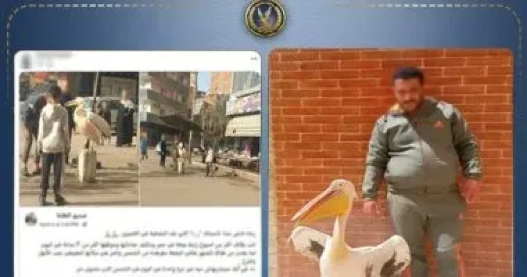 المتهم 
