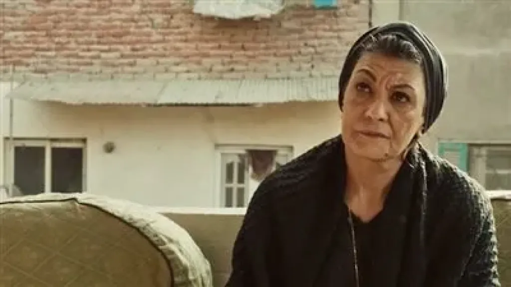 الفنانه سماح انور