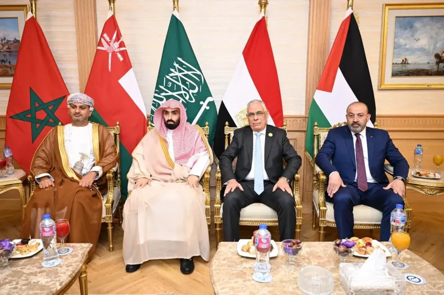 جانب من اللقاء 