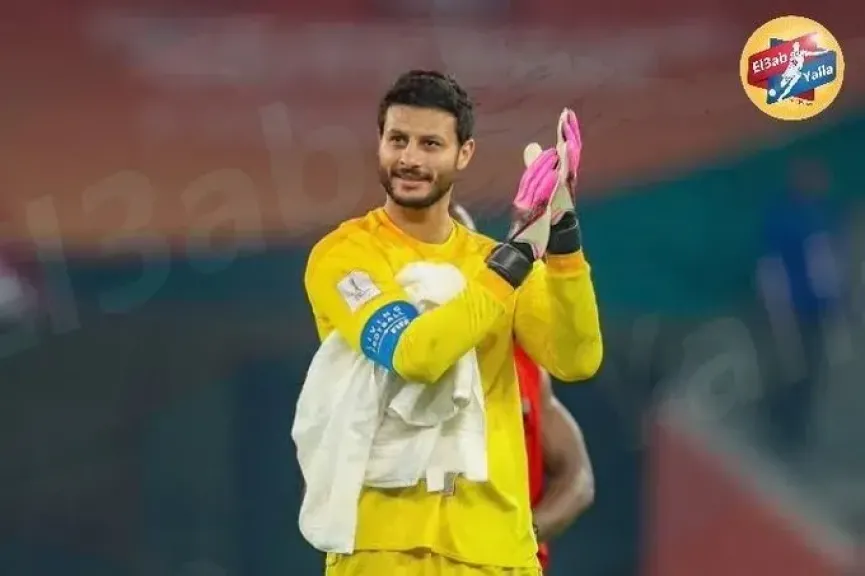 محمد الشناوي 