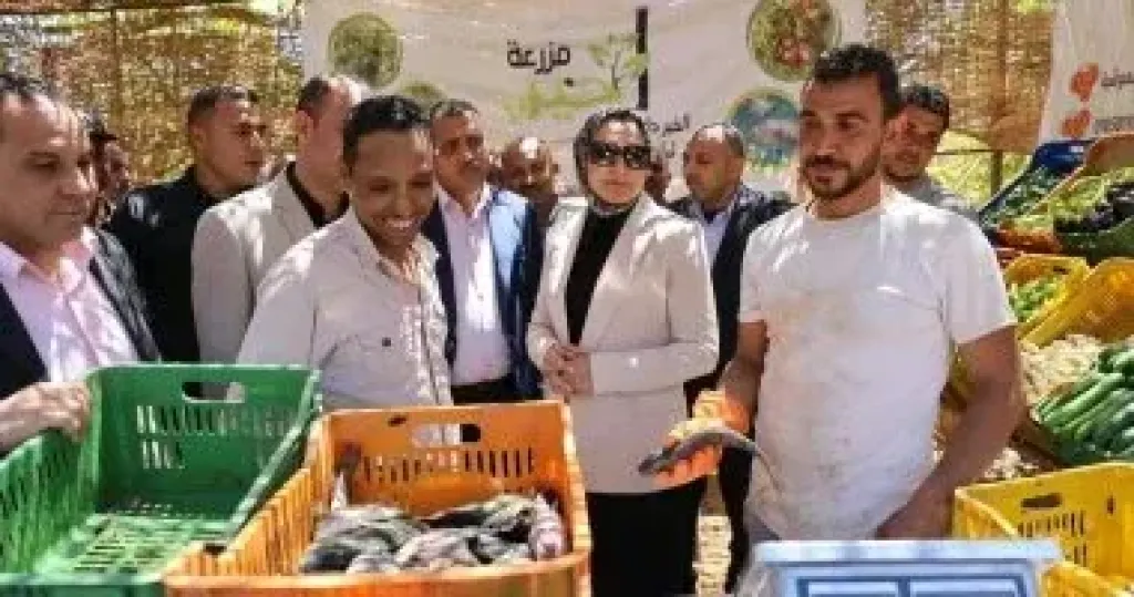 جانب من الجولة 