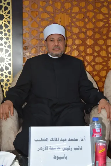 نائب رئيس الأزهر 