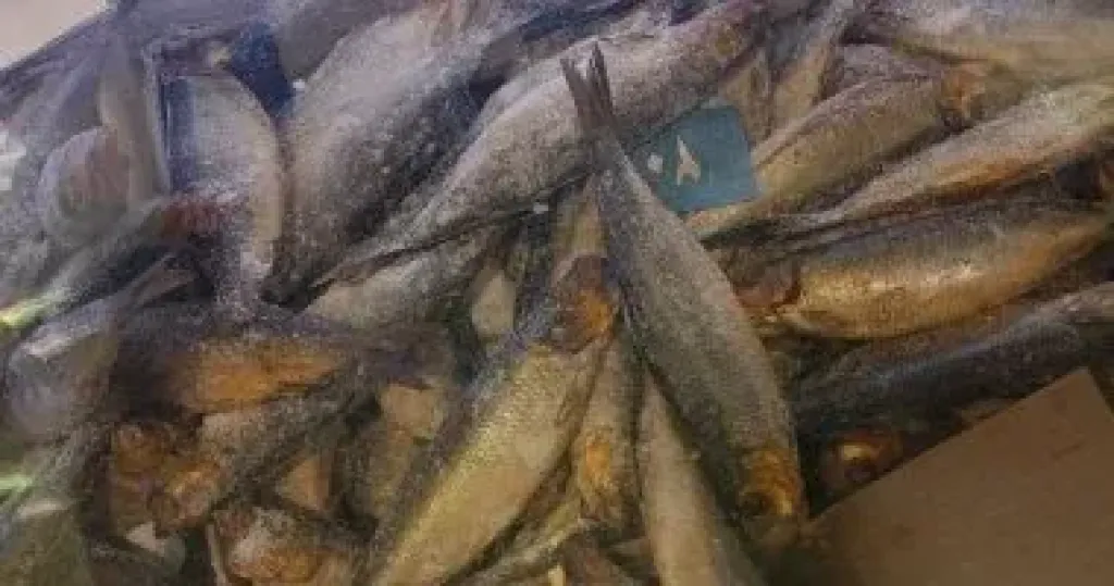 فسيخ