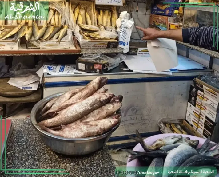 جانب من المضبوطات 