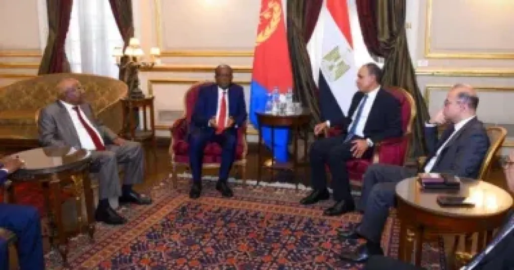 جانب من اللقاء 