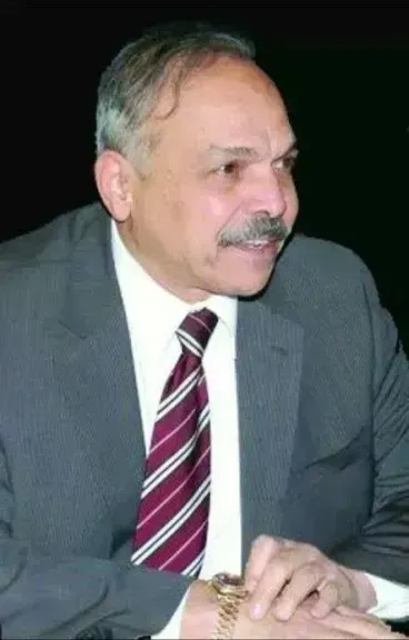المهندس فوزى السيد