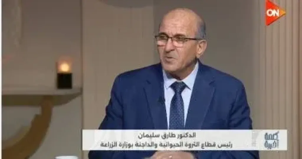 طارق سليمان  