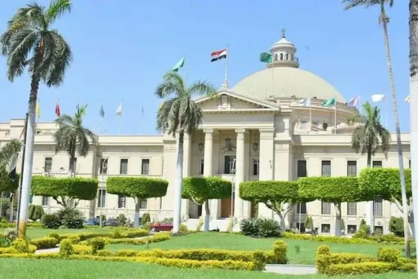 قصر العيني