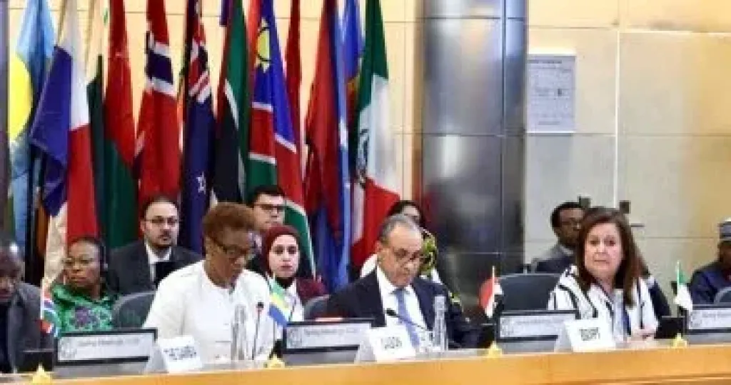 وزير الخارجية بدر عبد العاطي