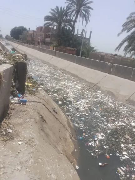جانب من التطهير الترعه 
