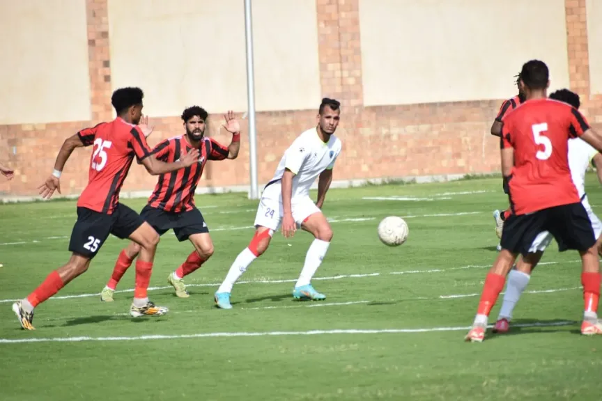 دورى المحترفين