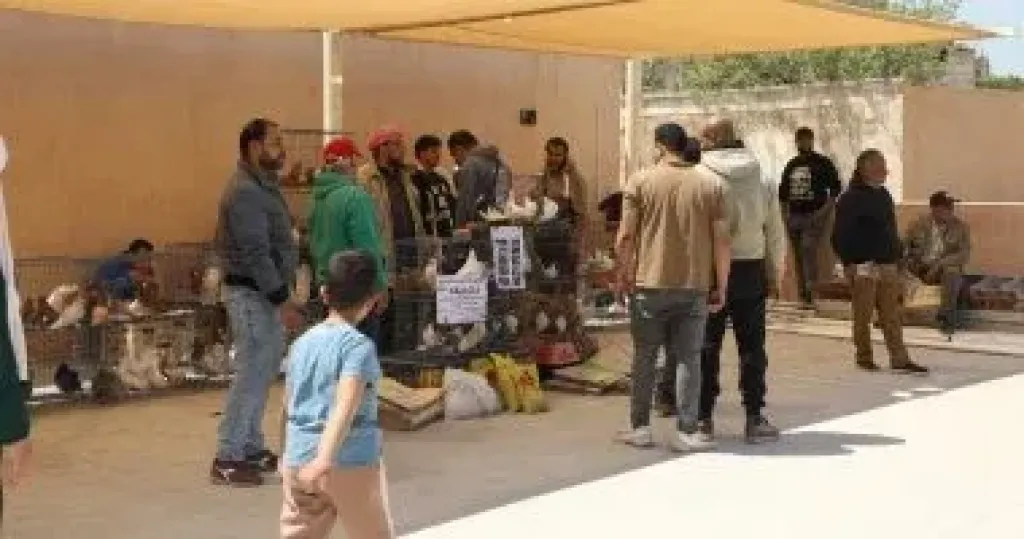 سوق مستلزمات العصافير