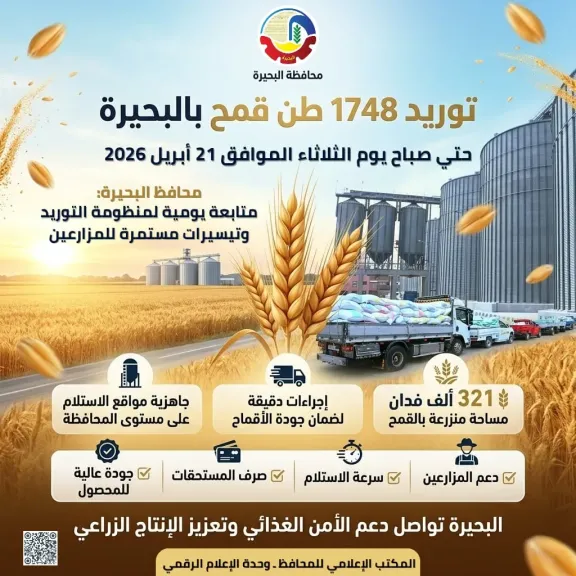 توريد القمح
