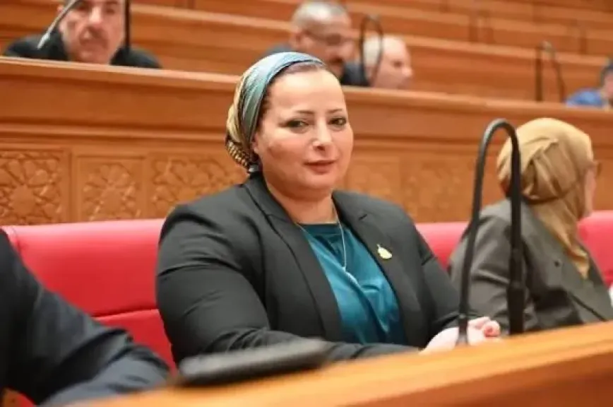 النائبة مروة حسان
