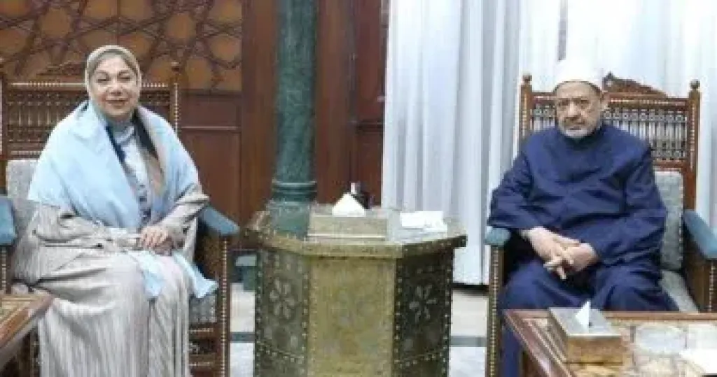 جانب من اللقاء 