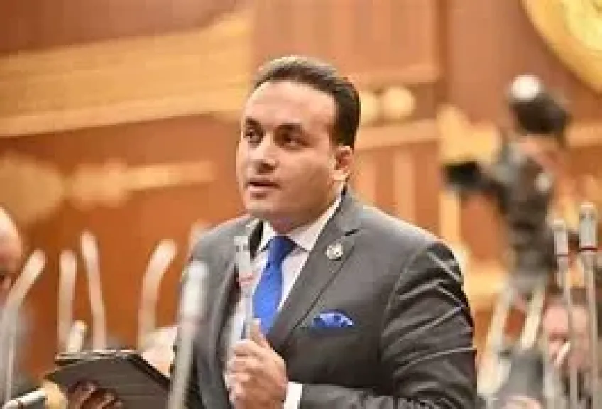 النائب عمرو فهمي