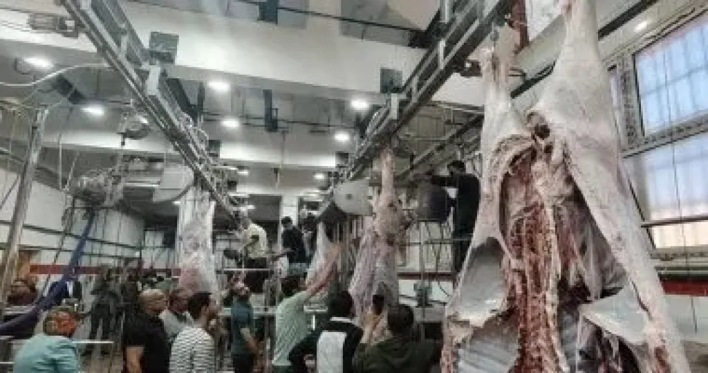 مجزر الزقازيق العام بمحافظة الشرقية بعد تطويره
