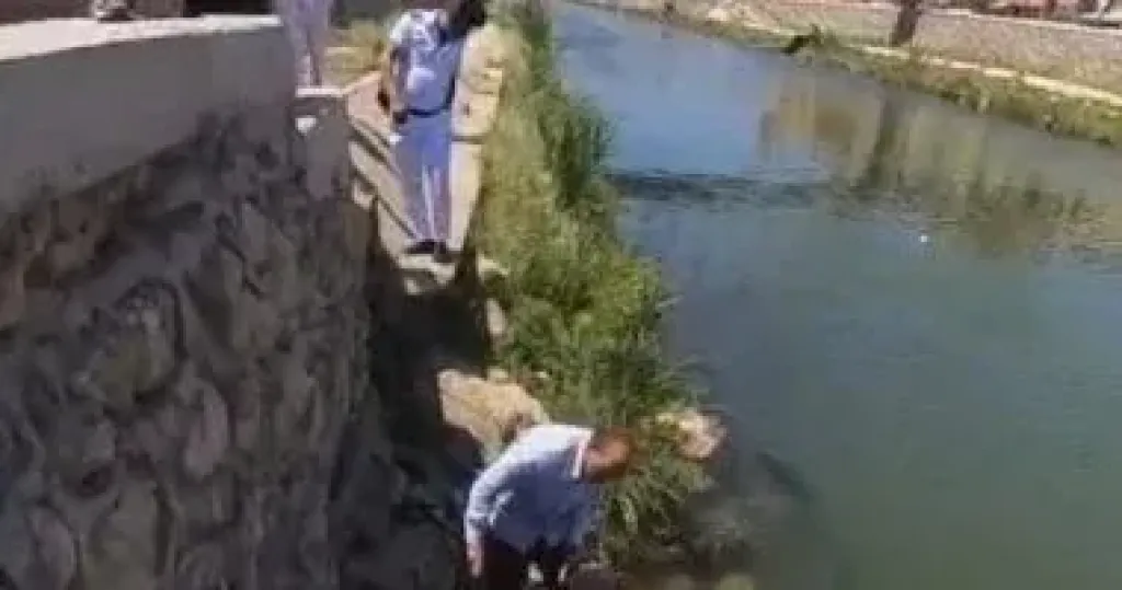حملة للقضاء على الملوثات بالإسكندرية