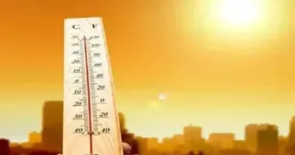 الأرصاد الجوية