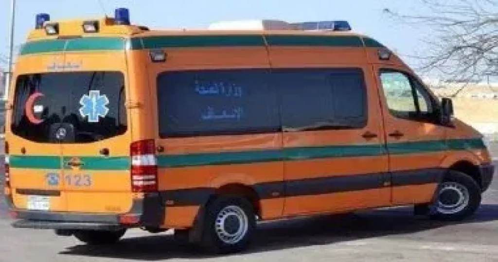 ارشيفية 