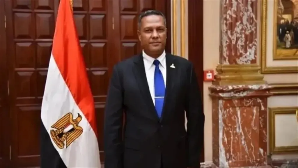 النائب محمد حمزه