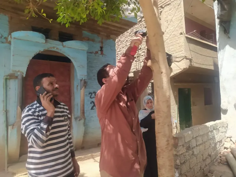 جانب من زراعه الاشجار 