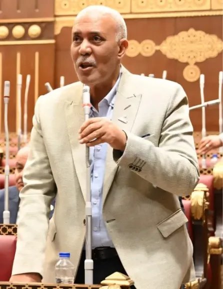 النائب حسن عباس