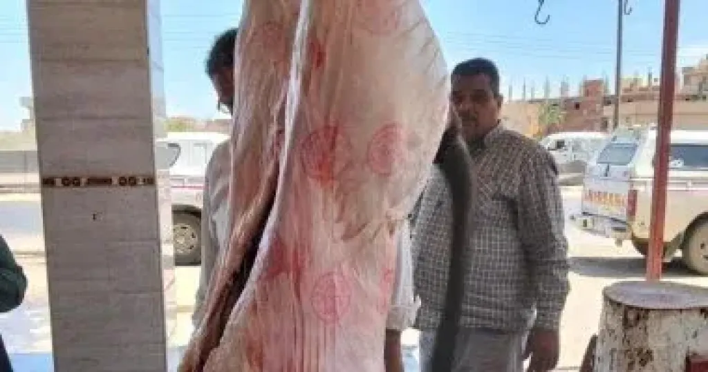 لحوم 