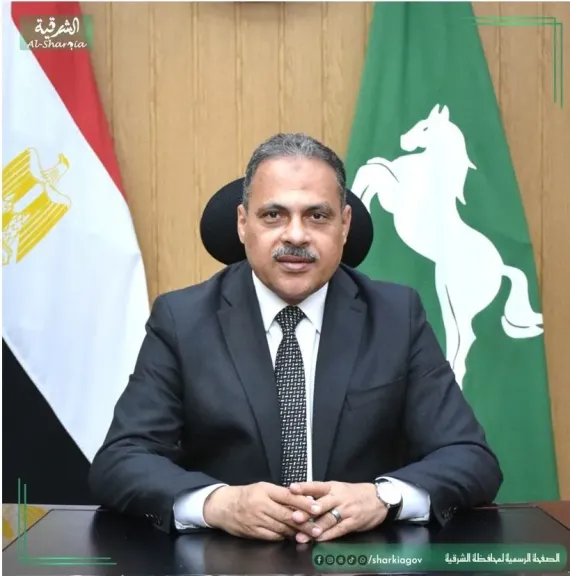 محافظ الشرقية 