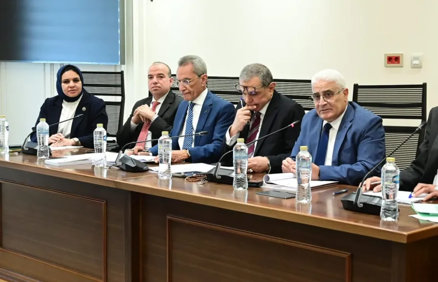 وزير المجالس النيابية