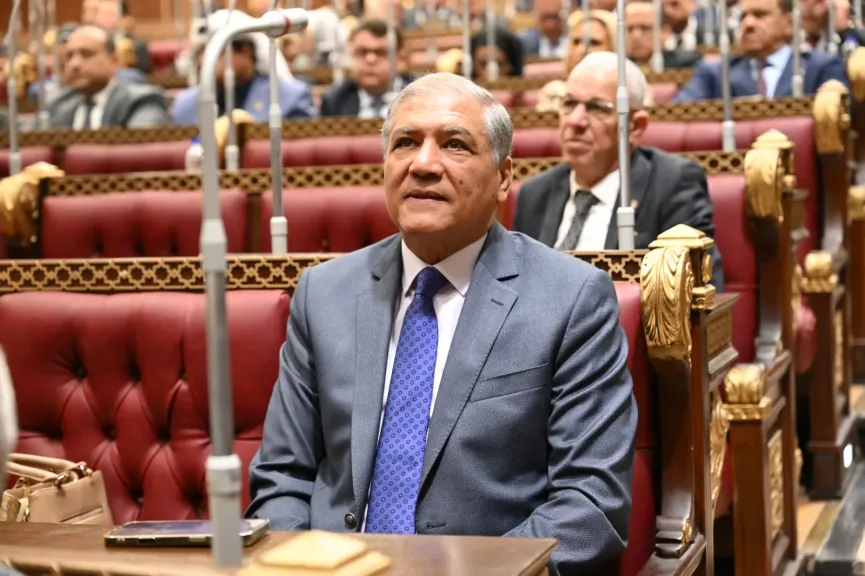 النائب عفت السادات