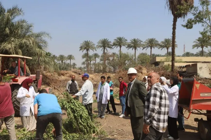 زراعة القاهرة 
