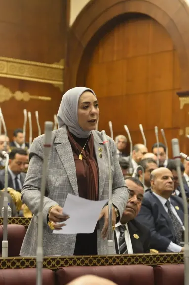 النائبة وفاء رشاد 
