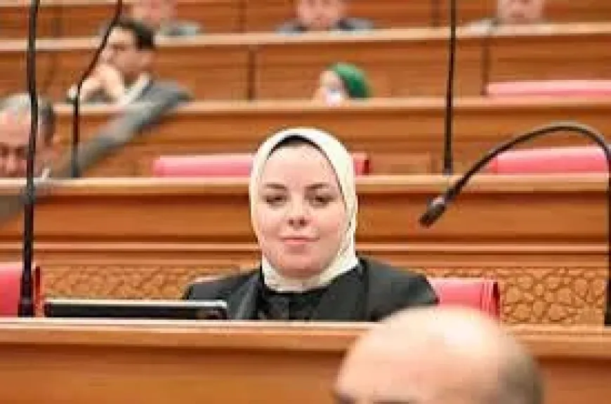 النائبة سميرة الجنايني  