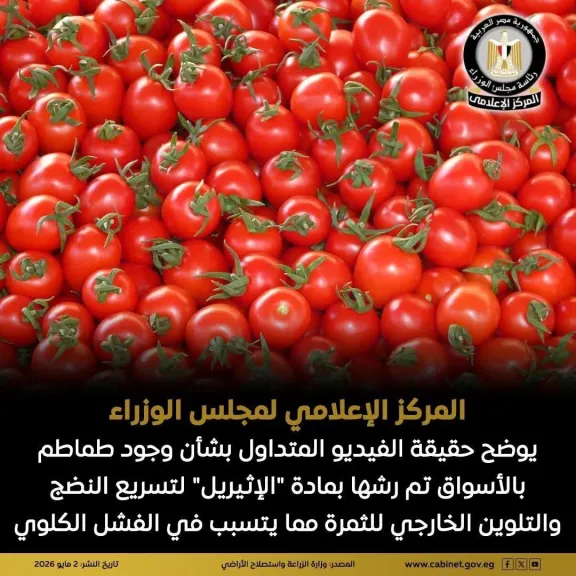 مجلس الوزراء
