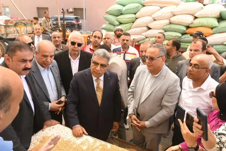 جانب من الحملات 