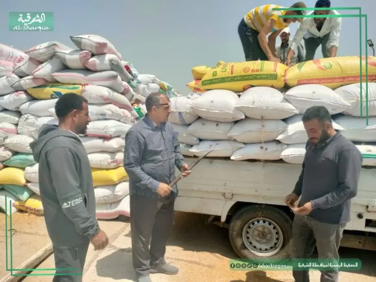 جانب من التوريد