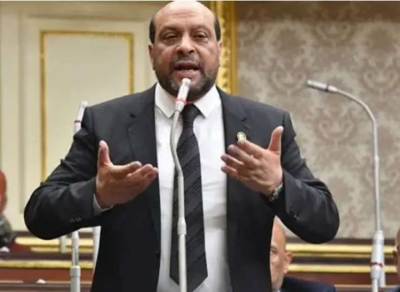 النائب محمود الشامي