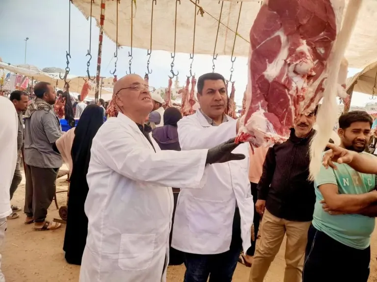 المضبوطات 
