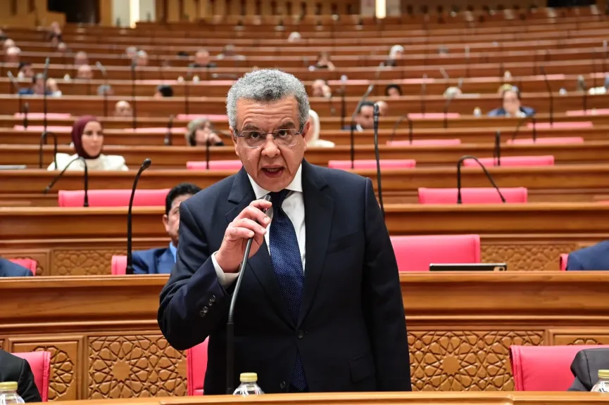 المستشار محمد الفيصل