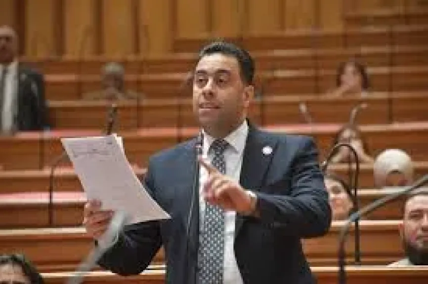 النائب احمد فرغلى