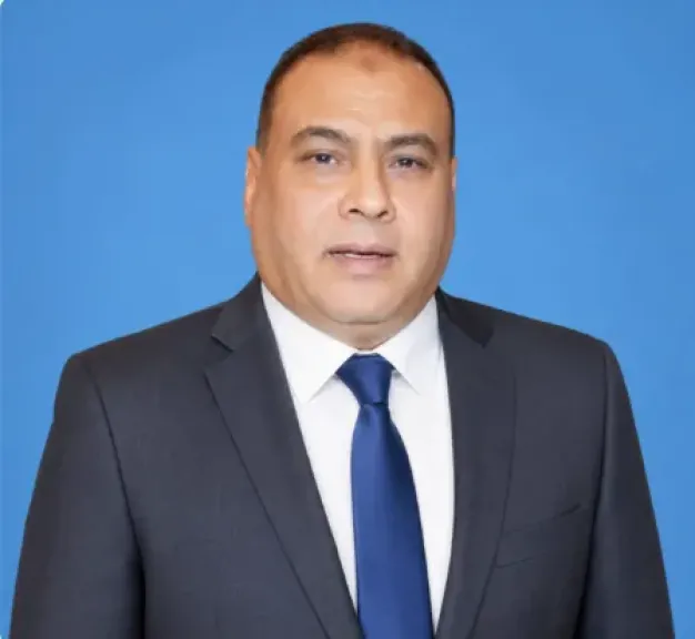 المستشار محمد سليم