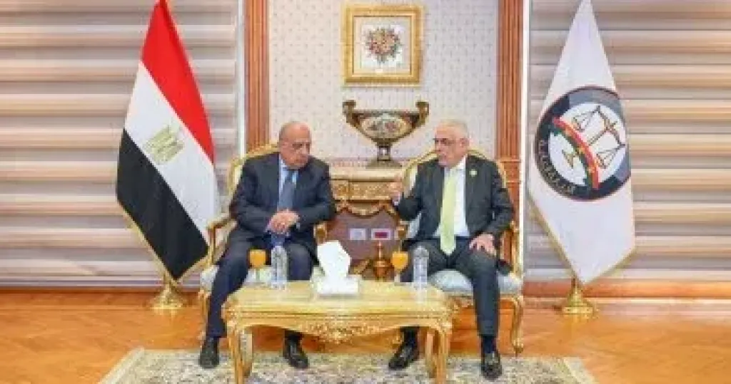 جانب من التوقيع 