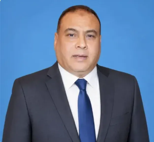 المستشار محمد سليم