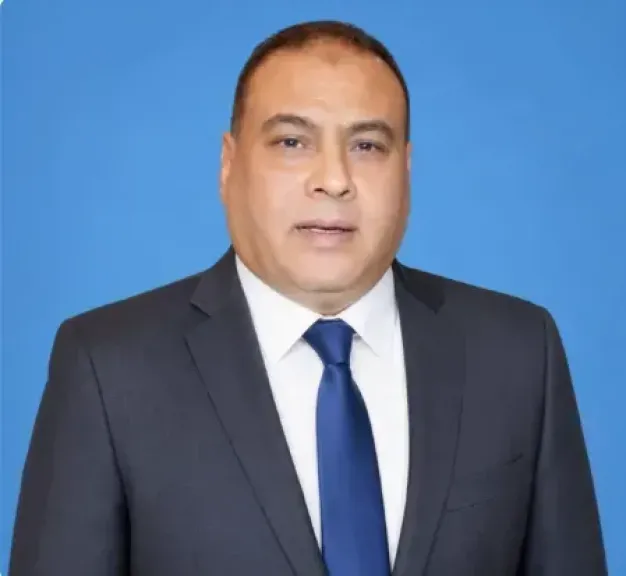 المستشار محمد سليم