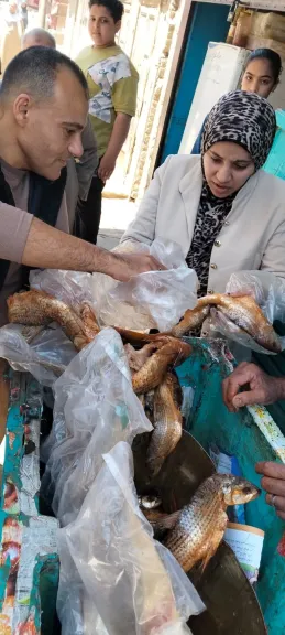 جانب من المضبوطات 