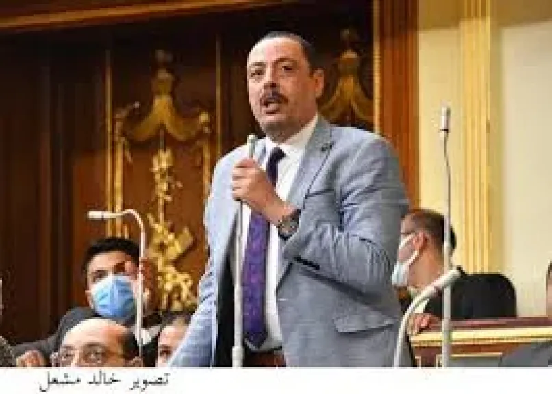 أشرف أمين، عضو مجلس النواب