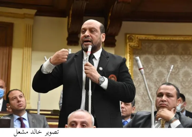 النائب  محمود الشامي عضو لجنة الصناعة بمجلس النواب