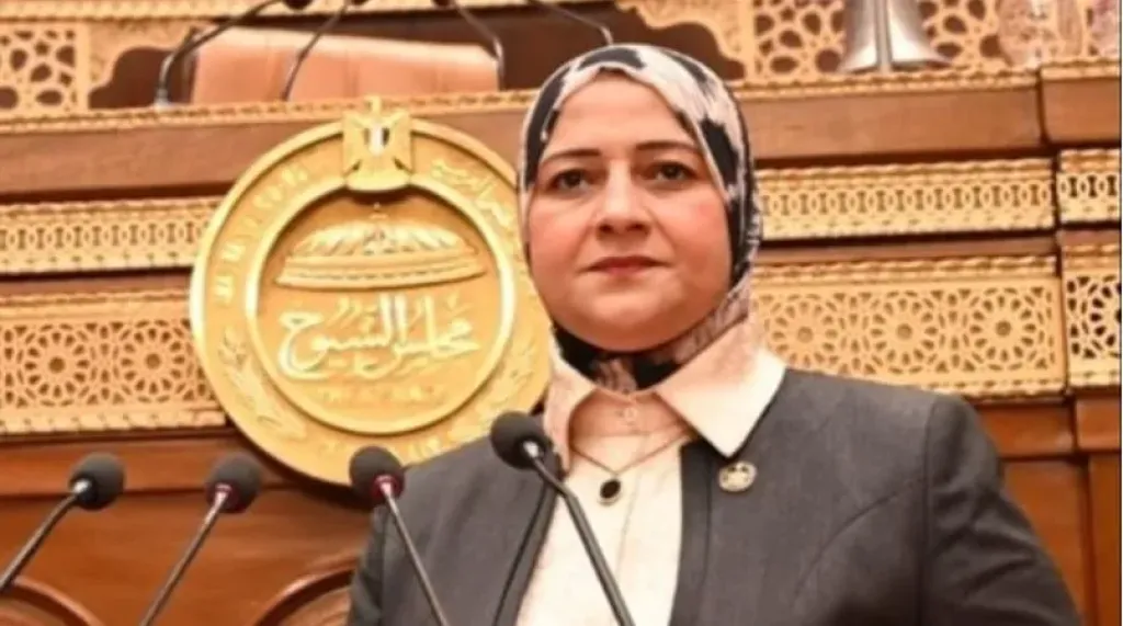  النائبة مروة محمود السيد